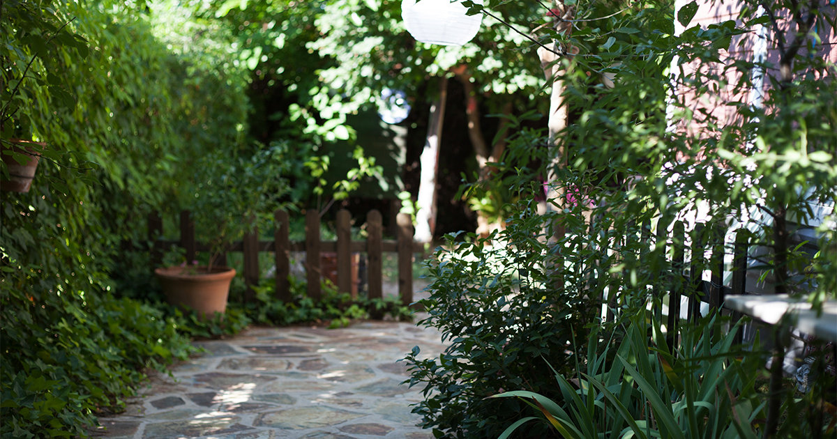 Backyard bushy garden with pathway
